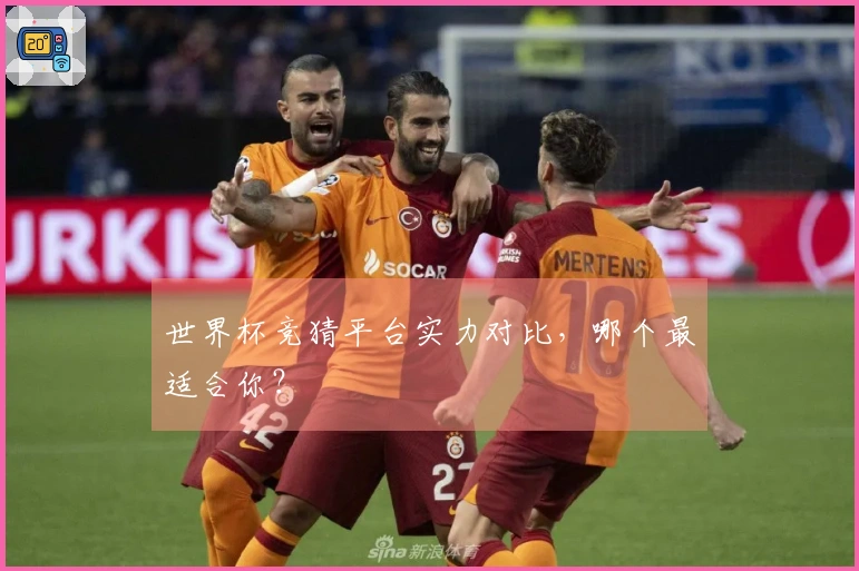 世界杯竞猜平台实力对比，哪个最适合你？