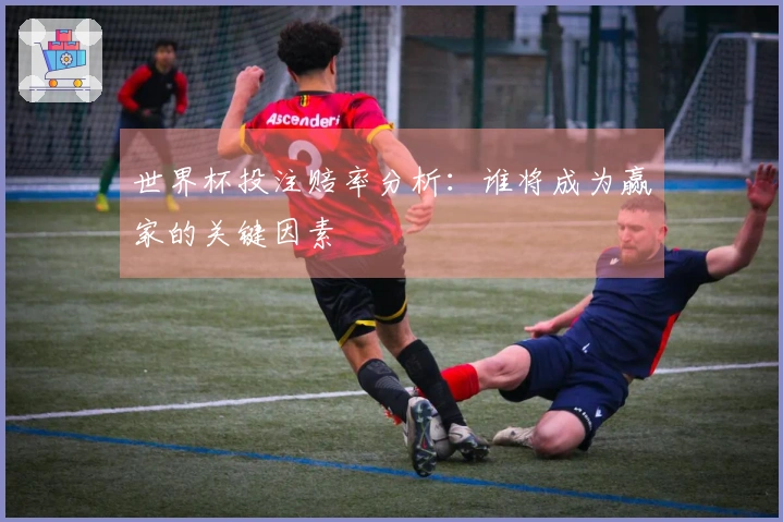 世界杯投注赔率分析：谁将成为赢家的关键因素