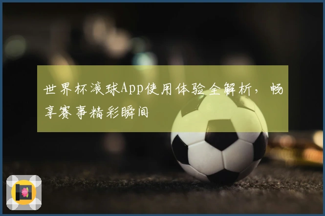 世界杯滚球App使用体验全解析，畅享赛事精彩瞬间