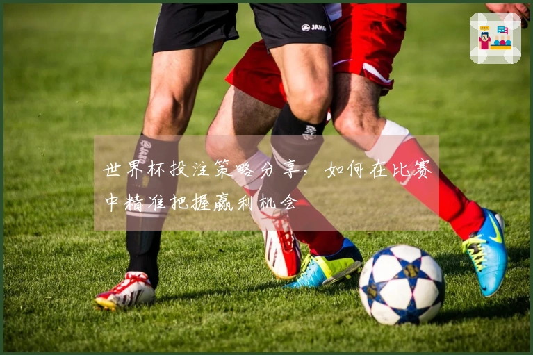 世界杯投注策略分享，如何在比赛中精准把握赢利机会