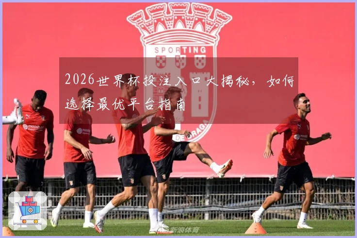 2026世界杯投注入口大揭秘，如何选择最优平台指南